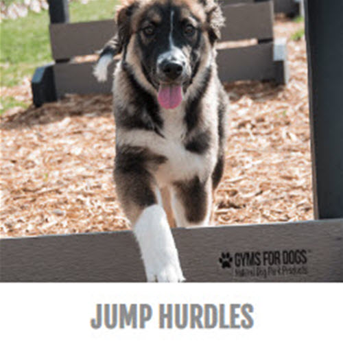 CAD Drawings BIM Models Gyms For Dogs® Jump Hurdles